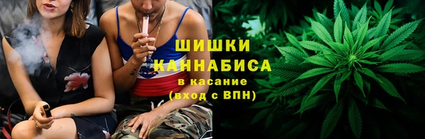 индика Горнозаводск
