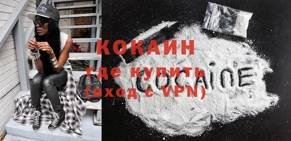 индика Горнозаводск