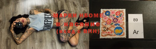 индика Горнозаводск