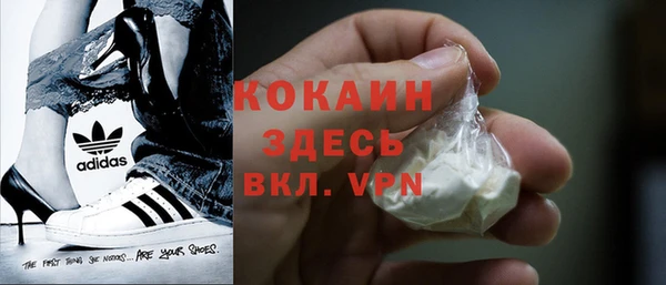 индика Горнозаводск