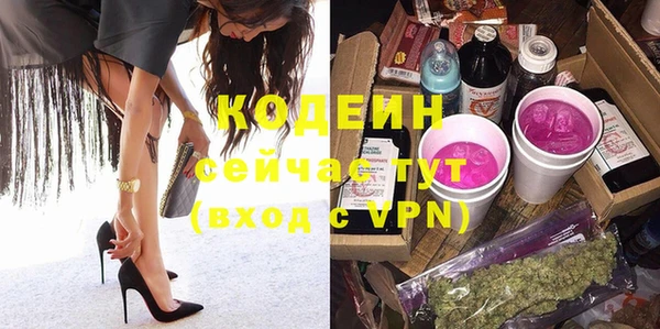 индика Горнозаводск