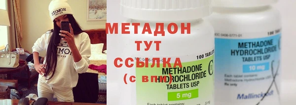 индика Горнозаводск
