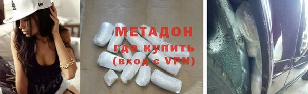 индика Горнозаводск