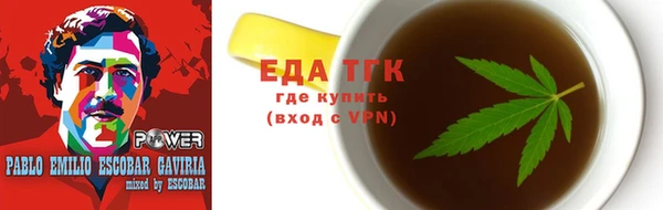 индика Горнозаводск
