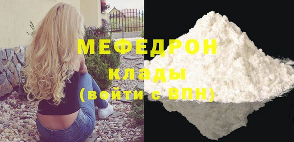 индика Горнозаводск