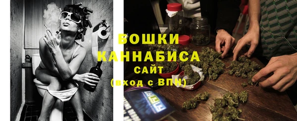 индика Горнозаводск