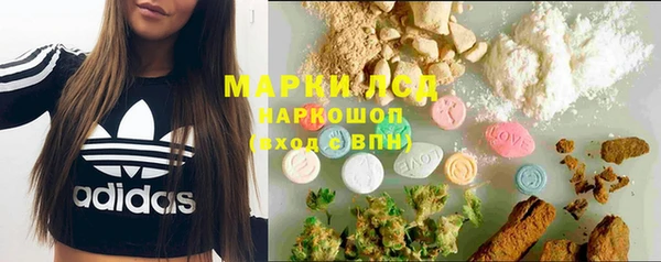 индика Горнозаводск