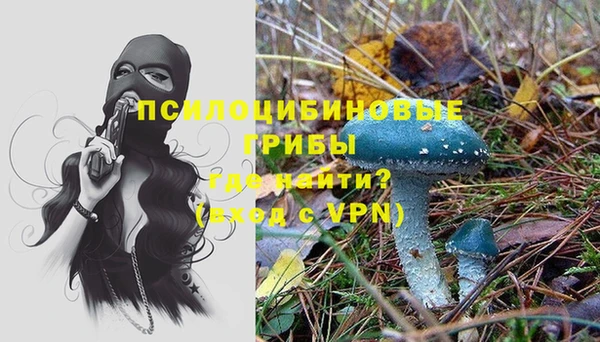 индика Горнозаводск