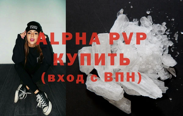 индика Горнозаводск