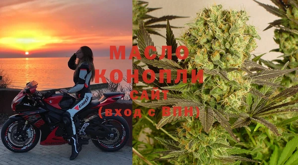 индика Горнозаводск